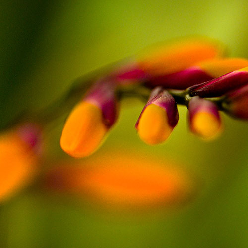 Aux Jardins De Carelle Paysagiste A Henriville Guide Artisan